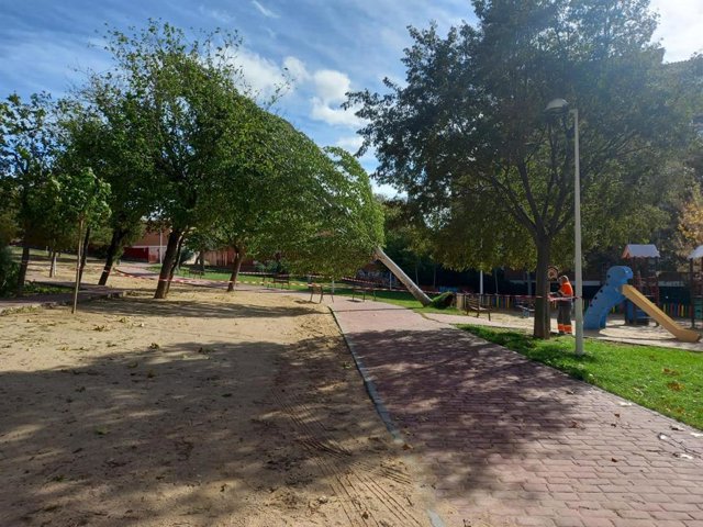 Caída de un árbol por el temporal Ciarán