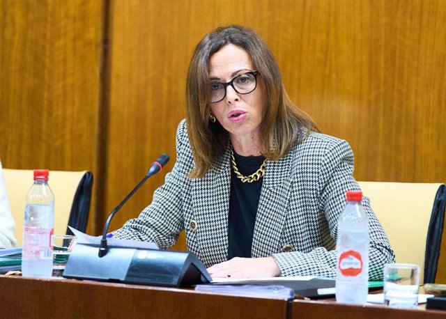 La consejera de Fomento, Articulación del Territorio y Vivienda, Rocío Díaz, informa en el Parlamento sobre la ampliación de la red de metros y tranvías de Andalucía.