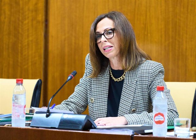 La consejera de Fomento, Articulación del Territorio y Vivienda de la Junta de Andalucía, Rocío Díaz, ha dado explicaciones en el Parlamento sobre el Bono Alquiler Joven.