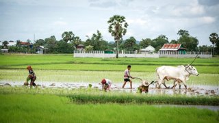 Programa de World Vision en Camboya