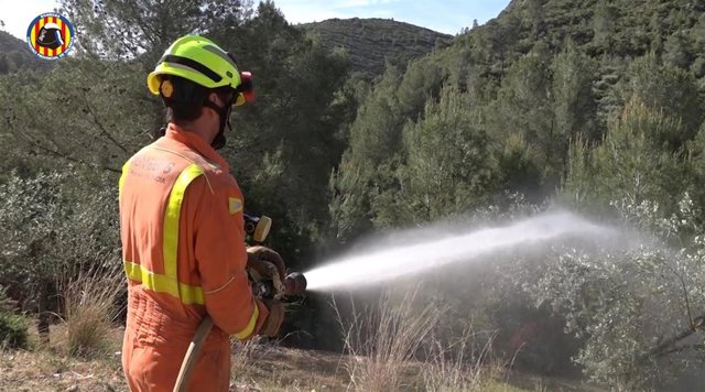 Archivo - Bombero en un incendio forestal