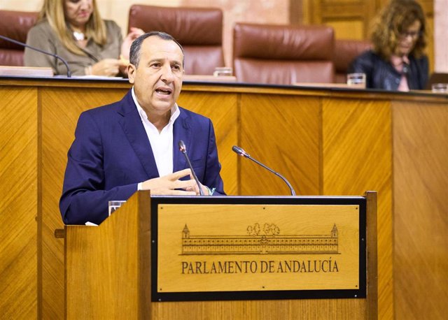 El diputado del PSOE-A José Luis Ruiz Espejo, en el Pleno del Parlamento andaluz. (Foto de archivo).
