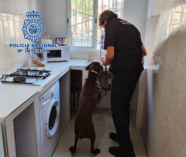 Operación de la Policía Nacional