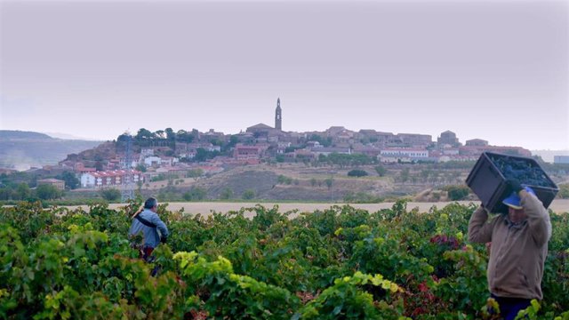 Archivo - Fotograma de la película documental 'Rioja, la tierra de los mil vinos'