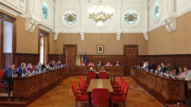 Celebración de pleno extraordinario de la Diputación.