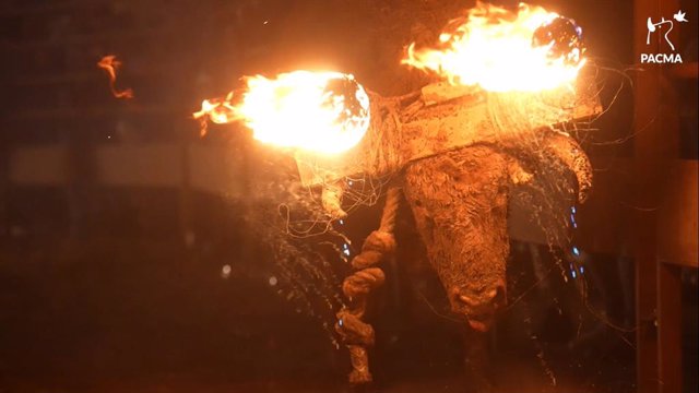 Archivo - Pacma tomará medidas legales por el evento del Toro de Júbilo de Medinaceli (Soria), el "más bochornoso de la historia"