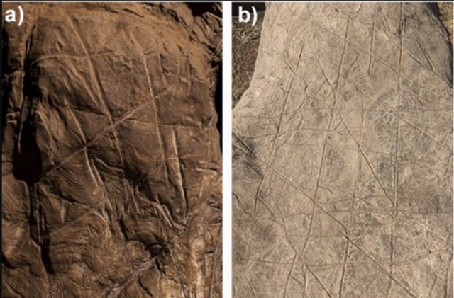 Decoración rupestre atribuida a Homo naledi