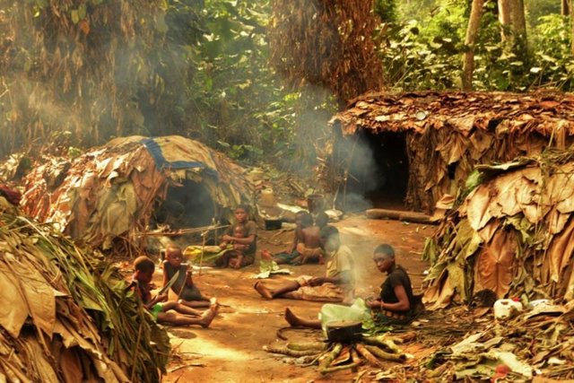 Un campamento de Mbenjele en la selva tropical del Congo