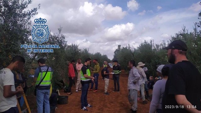 Operación de la Policía Nacional contra la explotación laboral en una finca en Dos Hermanas, en Sevilla.