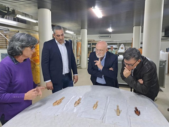 Las Muñecas Romanas de Ontur regresan al Museo Provincial de Albacete, tras dos meses de cuidada restauración