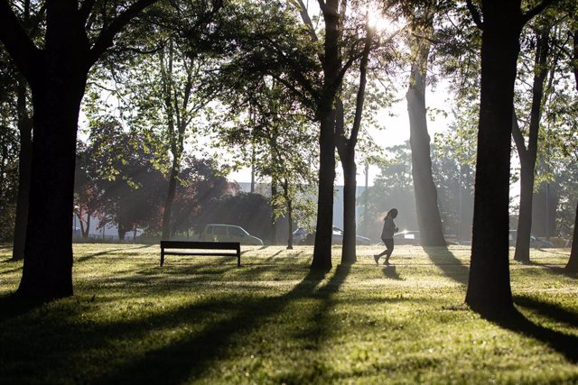 Archivo - Imagen de un parque de Vitoria en una jornada soleada