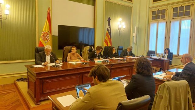 El director general de Emergencias e Interior, Sebastià Sureda, durante su comparecencia en el Parlament.