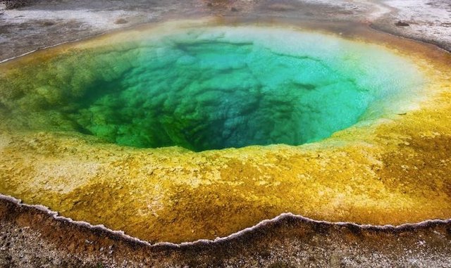 La vida surgió en un ambiente extremo