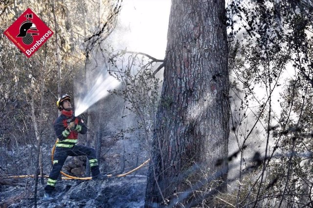 Un bombero en un incendio forestal
