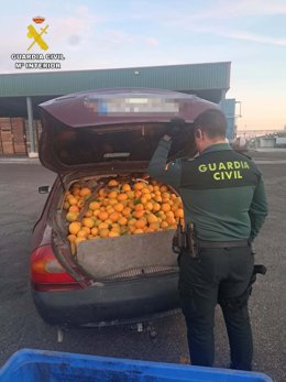 Naranjas intervenidas en las operaciones desplegadas desde octubre