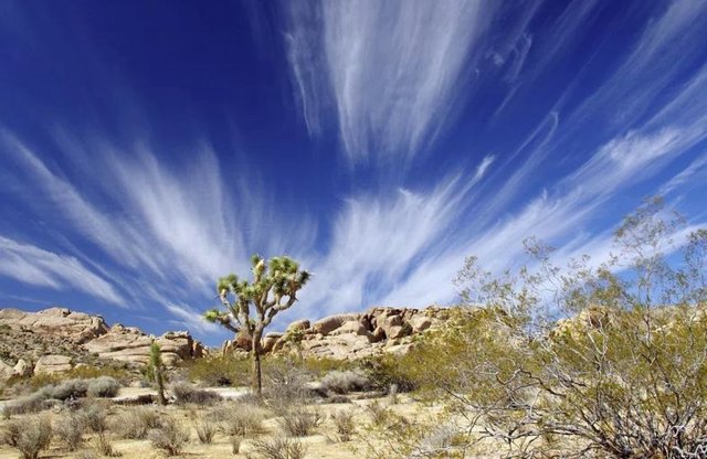 Paisaje del sur de California