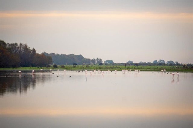Imágenes del Coto de Doñana antes de la firma del acuerdo del protocolo del Parque Nacional de Doñana.