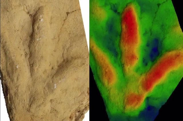 Una de las huellas parecidas a pájaros de Maphutseng, Lesotho (izquierda), y un mapa de profundidad en colores falsos de la impresión (derecha)