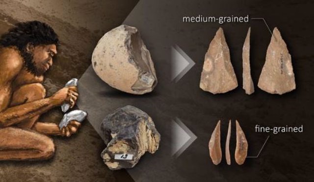 La investigación de las propiedades mecánicas de las rocas sugirió que los humanos paleolíticos cambiaron su elección de materia prima para adaptarla a las morfologías y técnicas de producción de sus herramientas de piedra.