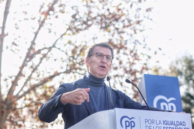 El presidente del Partido Popular, Alberto Núñez Feijóo, interviene durante un acto del PP contra la amnistía, en el Templo de Debod, a 3 de diciembre de 2023, en Madrid (España). El Partido Popular ha convocado este acto para protestar por la Ley de Amni