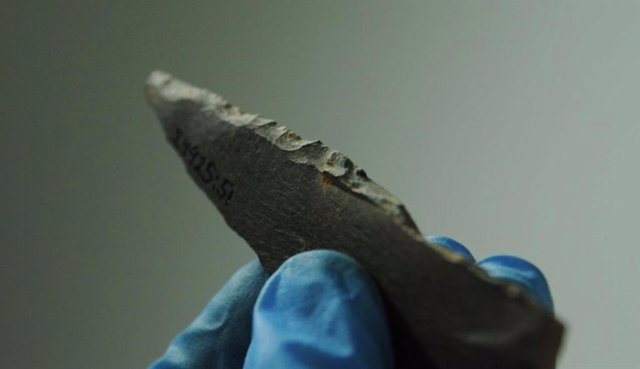 Hallado en las excavaciones de 1989, el cuchillo de piedra con dientes de sierra se encuentra ahora en las colecciones arqueológicas del Patrimonio Finlandés.