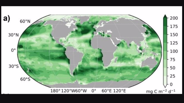 Distribución del flujo de carbono orgánico desde la capa superficial del océano abierto.