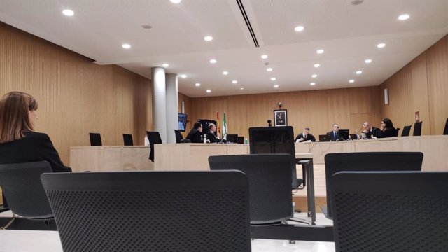 La exalcaldesa del municipio cordobés de Peñarroya-Pueblonuevo Luisa Ruiz en el juicio.