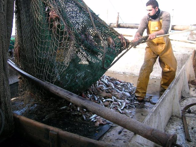 Archivo - Pesca de arrastre. Imagen de archivo.