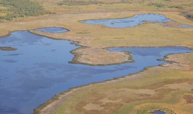 Un nuevo estudio analizó los lagos del Ártico, incluidos los del Refugio Nacional de Vida Silvestre Yukon Flats de Alaska, para arrojar luz sobre la cantidad de metano que se produce en los lagos y humedales del Ártico.
