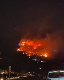 Incendio forestal declarado en un paraje de Lanjarón (Granada)