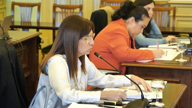 La diputada de Vox Manuela Cañadas en la Comisión de Hacienda y Presupuestos del Parlament.