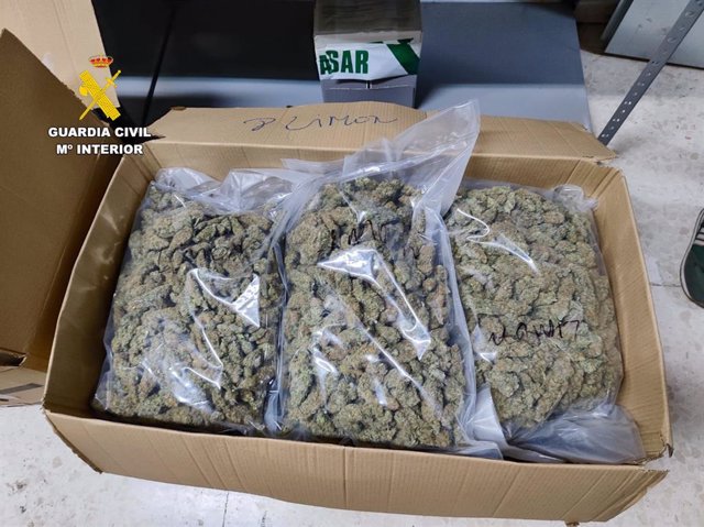 Marihuana envasada hallada por la Guardia Civil.