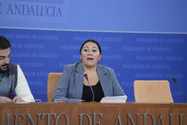 La parlamentaria de Por Andalucía Alejandra Durán, en rueda de prensa.