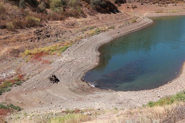 Archivo - Vista general del Embalse de la Minilla, en Sevilla, foto de recurso