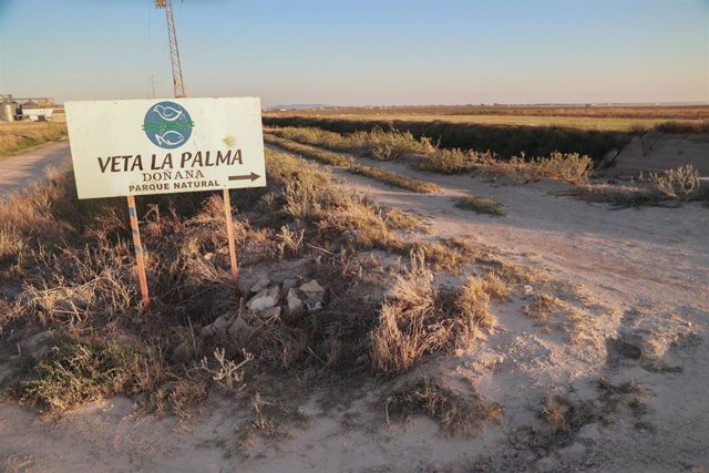 Archivo - Entrada a la finca "Veta La Palma" que la Junta de Andalucía va a comprar para ampliar el terreno de Doñana. A 12 de septiembre de 2023 en La Puebla del Río en Sevilla, (Andalucía, España).