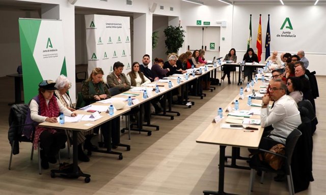Reunión del pleno del Observatorio Andaluz contra la Violencia de Género que se ha celebrado en Sevilla presidido por la consejera de Inclusión Social, Juventud, Familias e Igualdad de la Junta de Andalucía, Loles López.