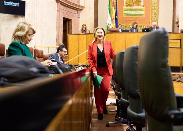 La consejera de Economía, Hacienda y Fondos Europeos, Carolina España, en el Pleno del Parlamento andaluz durante el debate final del proyecto de Ley del Presupuesto de 2024.