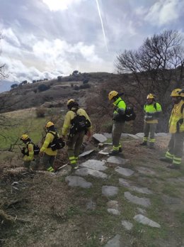 Archivo - Bomberos forestales que participaron en la búsqueda.