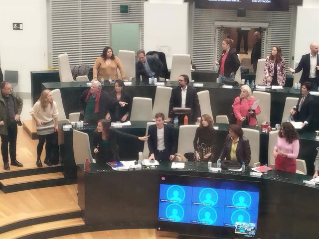 Concejales de PSOE y Más Madrid se van del Pleno