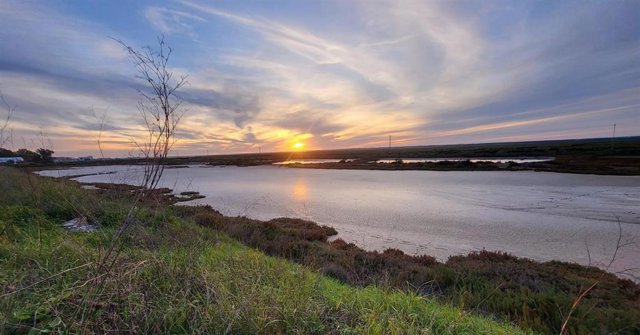 Estuario río Odiel.