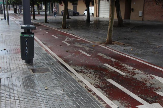 Archivo - Imagen de archivo de un carril bici en Málaga.