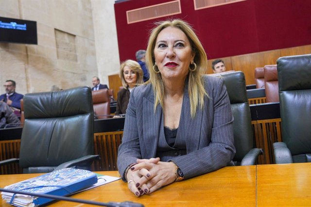 La consejera de Economía, Hacienda y  Fondos Europeos Carolina España, en el Parlamento, en una foto de archivo.