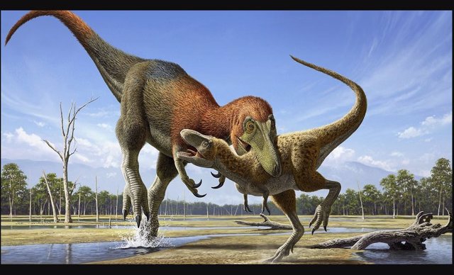Durante décadas, los paleontólogos han debatido si Nanotyrannus es una especie separada o simplemente un T. Rex juvenil.