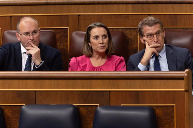 El portavoz del PP en el Congreso, Miguel Tellado; la secretaria general del PP, Cuca Gamarra, y el presidente del Partido Popular, Alberto Núñez Feijóo, durante una sesión plenaria, en el Congreso de los Diputados.