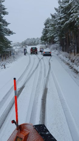 Dispositivo invernal