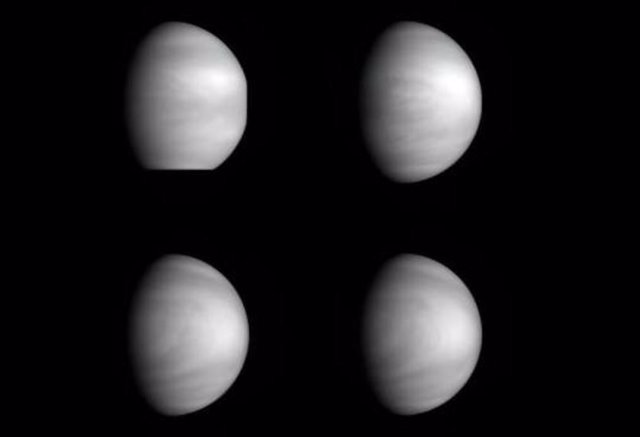 Múltiples vistas de las nubes de niveles altos de Venus