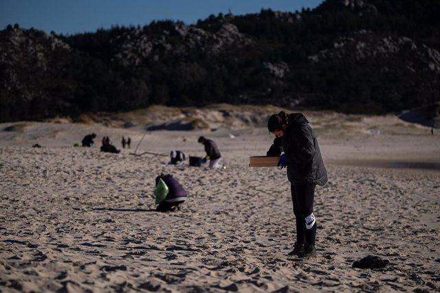 Voluntarios participan en la recogida de pellets de plástico en una playa de Muros (A Coruña).
