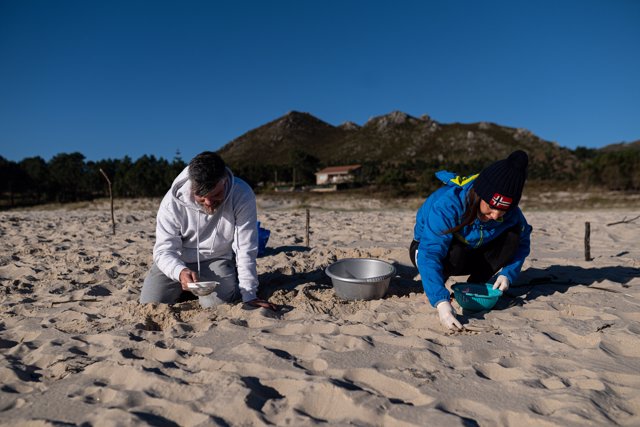 Voluntarios hacen una recogida de pellets de la arena, Galicia, a 7 de enero de 2024, en A Coruña, Galicia (España)