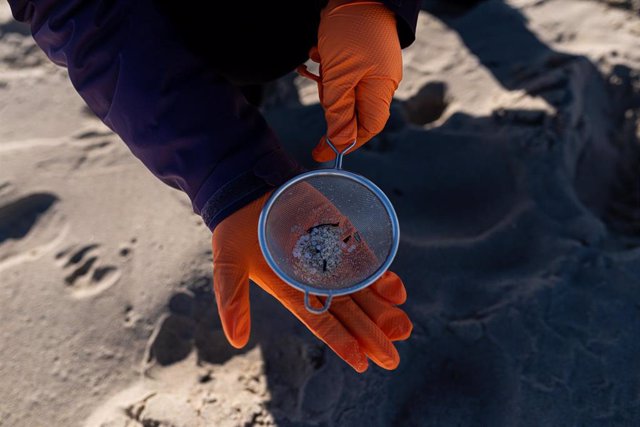 Voluntarios hacen una recogida de pellets de la arena, Galicia, a 7 de enero de 2024, en A Coruña, Galicia (España). Grandes cantidades de pellets de plásticos llevan apareciendo, desde el 13 de diciembre en las Rías Baixas y en la ría de Muros de Noia en