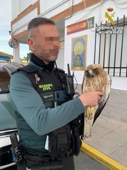 El animal con uno de los agentes que lo rescataron.